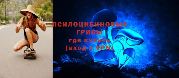 прущая мука Горняк