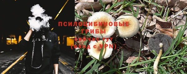 прущая мука Горняк
