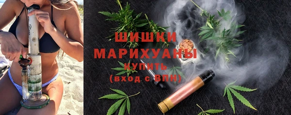 ALPHA PVP Горно-Алтайск