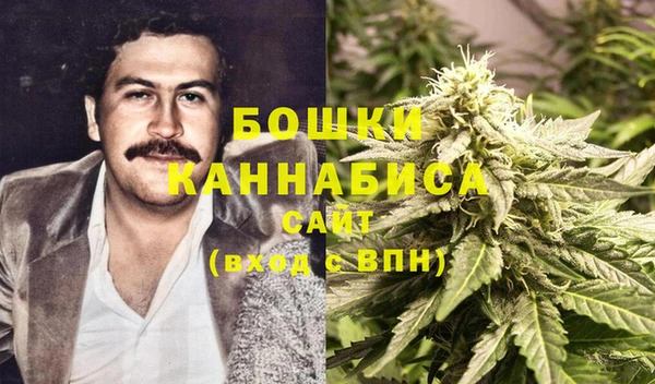 ALPHA PVP Горно-Алтайск
