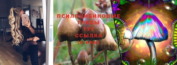 прущая мука Горняк