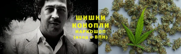 прущая мука Горняк