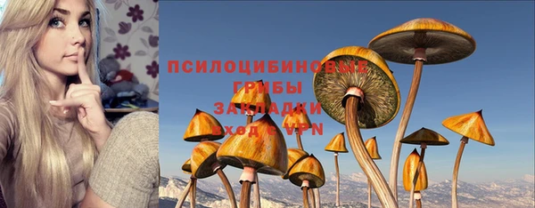 амфетамин Горнозаводск