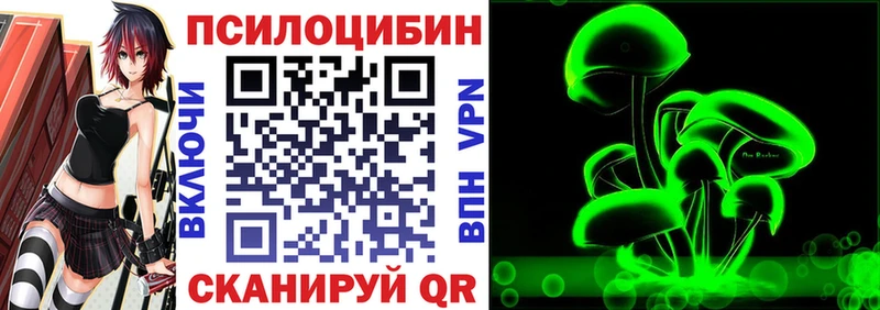 Купить где  Красноперекопск  Псилоцибиновые грибы Psilocybe 